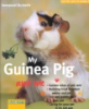 My_guinea_pig_and_me