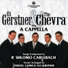 Eli_Gerstner___The_Chevra_sing_a_cappella