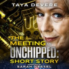 The_Meeting__An_Unchipped_Short_Story