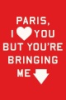 Paris__I_love_you_but_you_re_bringing_me_down