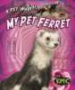 My_pet_ferret