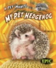 My_pet_hedgehog