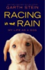 Racing_in_the_rain
