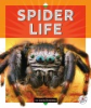 Spider_life