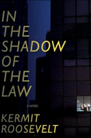 In_the_shadow_of_the_law