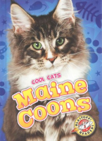 Maine_coons