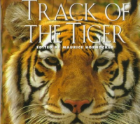 Track_of_the_tiger